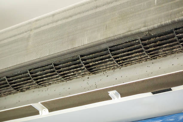 Best Emergency Air Duct Cleaning  in Toftrees, PA